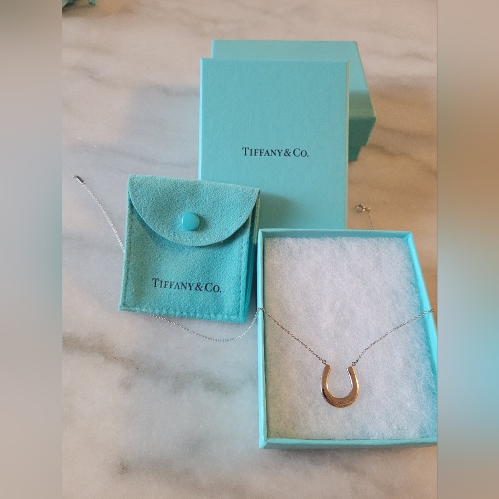 SOLD EBAY Tiffany & Co 1837 rubedo metal horseshoe silver necklace